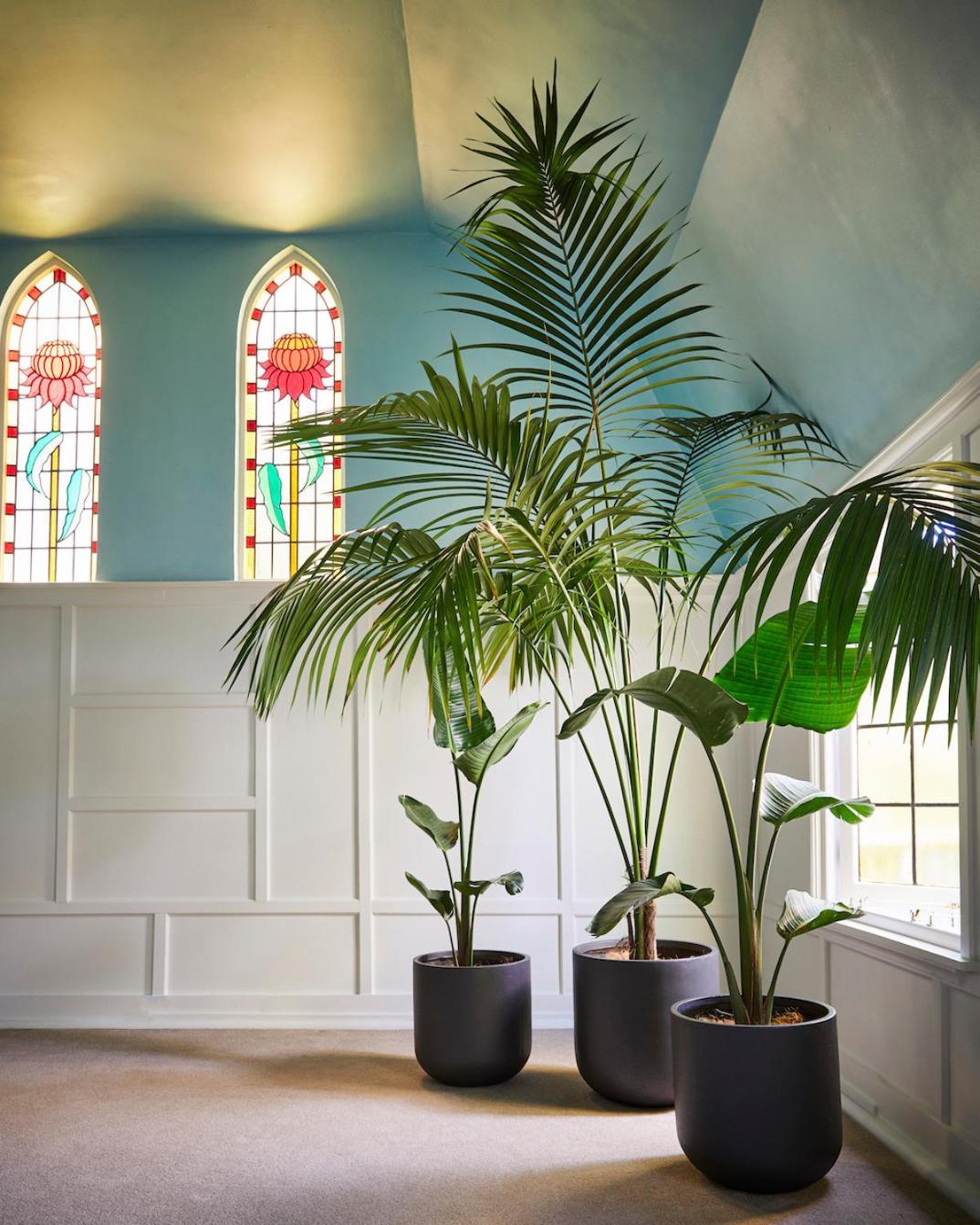 The Nunnery And Spa Leura Bagian luar foto
